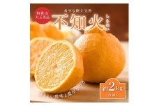 先行受付!　数量限定　不知火　樹上完熟　約2kg　大玉6個入　こだわり農家厳選! ※2026年2月下旬～3月下旬頃より順次発送予定