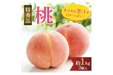 先行受付!　旬の桃　(特秀品)食べきりやすい3個入り ※2025年6月下旬～8月下旬頃より順次発送予定 ※離島への配送不可