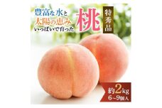 先行受付!　旬の桃　(特秀品)　約2kg　6～9個入 ※2025年6月下旬～8月下旬頃より順次発送予定 ※離島への配送不可