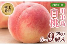 桃先行受付!　【川中島白桃】　(大玉特秀品)　約2kg　6～9個入　こだわり農家厳選! 