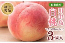 桃先行受付!　【川中島白桃】大玉特秀品　食べきりやすい3個入り　こだわり農家厳選! 