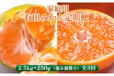 〈定期便〉【10・11・12月 全3回】家庭用 有田みかん定期便 2.5kg+250g（傷み補償分）※北海道・沖縄・離島への配送不可