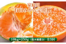 〈定期便〉【10・11・12月 全3回】家庭用 有田みかん定期便 10kg+250g（傷み補償分）※北海道・沖縄・離島への配送不可