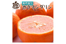 ＜4月より発送＞家庭用 カラマンダリン10kg+250g（傷み補償分）◇【南津海・なつみ】【希少な春柑橘】【わけあり・訳あり】【みかんと同じように食べられます】　※北海道・沖縄・離島への配送不可　※2026年4月上旬～5月下旬頃に順次発送予定