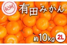 紀州有田みかん 約10kg サイズ (2L)  ｜みかん ミカン 和歌山 由良 フルーツ 果物 柑橘 和歌山県産 お取り寄せ 人気 ※2025年11月下旬～2026年1月中旬頃に順次発送予定