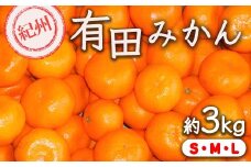 紀州有田みかん 約3kg サイズ (L・М・S) ｜みかん ミカン 和歌山 由良 フルーツ 果物 柑橘 和歌山県産 お取り寄せ 人気 ※2025年11月下旬～2026年1月中旬頃に順次発送予定