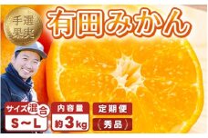 【まごころ手選別】【3ヶ月定期便】有田みかん 秀品 約3kg（S～Lサイズ混合）※2025年11月上旬頃から1カ月に1回（計3回）発送