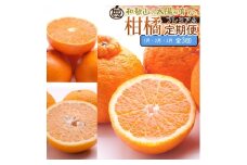 【定期便】厳選 柑橘定期便 S 3回（1～3月）※北海道・沖縄・離島への配送不可※1月・2月・3月に発送