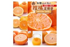【定期便】家庭用 柑橘定期便 S 6回（奇数月）※北海道・沖縄・離島への配送不可※奇数月に発送