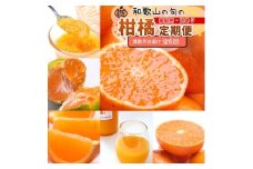 【定期便】家庭用 柑橘定期便 S 6回（偶数月）※北海道・沖縄・離島への配送不可※偶数月に発送