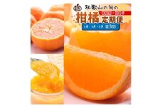 【定期便】家庭用 柑橘定期便 S 3回（4～6月）※北海道・沖縄・離島への配送不可※4月・5月・6月に発送