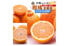 【定期便】家庭用 柑橘定期便 M 3回（1～3月）※北海道・沖縄・離島への配送不可※1月・2月・3月に発送
