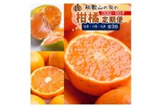 【定期便】家庭用 柑橘定期便 M 3回（10～12月）※北海道・沖縄・離島への配送不可※10月・11月・12月に発送