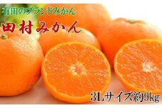 【ブランドみかん】田村みかん大玉約9kg(3Lサイズ)