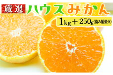 厳選 ハウスみかん1kg+250g（傷み補償分）