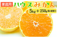 家庭用 ハウスみかん5kg+250g（傷み補償分）