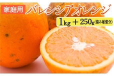 家庭用 バレンシアオレンジ1kg+250g（傷み補償分）