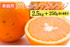 家庭用 バレンシアオレンジ2.5kg+250g（傷み補償分）