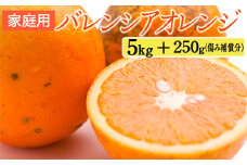家庭用 バレンシアオレンジ5kg+250g（傷み補償分）