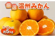 みかん 温州みかん 厳選 5kg S-M サイズ 小玉みかん｜GOGO農園 和歌山県 日高川町 みかん 柑橘類 うんしゅうみかん みかん 柑橘 蜜柑 フルーツ 送料無料