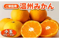 みかん 温州みかん ご家庭用 5kg 小玉 2S～3Sサイズ｜GOGO農園 和歌山県 日高川町 うんしゅうみかん みかん 柑橘 蜜柑 フルーツ 送料無料
