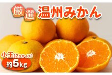 みかん 温州みかん 厳選 5kg 小玉 2Sサイズ 小玉みかん｜GOGO農園 和歌山県 日高川町 みかん 小玉 柑橘類 うんしゅうみかん みかん 柑橘 蜜柑 フルーツ 送料無料