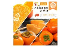 〈定期便〉【10・11・12月 全3回】紀州和歌山産旬のご家庭用果物セット(ひらたね・富有柿・みかん)