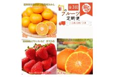 〈定期便〉【2・3・12月 全3回】紀州和歌山産旬のフルーツセット(まりひめ・紀州デコ・有田みかん)