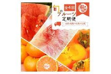 〈定期便〉【6・8・10・12月 全4回】紀州和歌山産旬のフルーツセット(スイカ・桃・ひらたね柿・みかん)