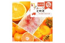 〈定期便〉【7・8・10・12月 全4回】紀州和歌山産旬のフルーツセット(バレンシア・桃・ひらたねなし柿・みかん)