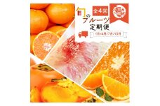 〈定期便〉【1・4・7・10月 全4回】紀州和歌山産旬のフルーツセット(みかん・清見・桃・柿)