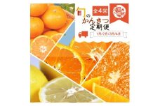 〈定期便〉【1・2・3・4月 全4回】紀州和歌山産旬のフルーツセット(みかん・不知火・レモン・清見)