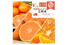 〈定期便〉【1・2・3月 全3回】紀州和歌山産旬のご家庭用柑橘セット(みかん・不知火・清見)