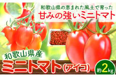 トマト ミニトマト ミニトマト ( アイコ ) 約 2kg 株式会社 はし長《12月中旬-7月上旬頃出荷(土日祝除く)》和歌山県 日高町 贈り物 ギフト 野菜 アイコトマト とまと