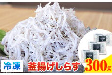 冷凍 釜揚げ しらす 300g 大五海産《60日以内に出荷予定(土日祝除く)》和歌山県 日高町 釜揚げ しらす 魚 いわし シラス 釜揚げシラス 海産物 海鮮 海鮮丼 丼 シラス丼 しらす丼 和歌山県産 送料無料