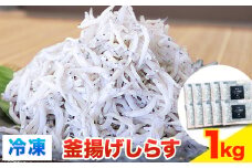 冷凍 釜揚げ しらす 1kg 大五海産《60日以内に出荷予定(土日祝除く)》和歌山県 日高町 釜揚げ しらす 魚 いわし 和歌山県産 送料無料