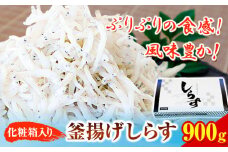 釜あげしらす 化粧箱 900g 大五海産《60日以内に出荷予定(土日祝除く)》和歌山県 日高町 釜揚げ しらす 魚 いわし シラス 釜揚げシラス 海産物 海鮮 海鮮丼 丼 シラス丼 しらす丼 和歌山県産 送料無料