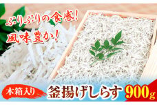 釜あげしらす 木箱 900g 大五海産《60日以内に出荷予定(土日祝除く)》和歌山県 日高町 釜揚げ しらす 魚 いわし シラス 釜揚げシラス 海産物 海鮮 海鮮丼 丼 シラス丼 しらす丼 和歌山県産 送料無料