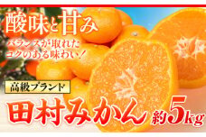 【先行予約】みかん 高級ブランド 田村みかん 約 5kg 株式会社魚鶴商店《11月下旬-2月上旬頃出荷(土日祝除く)》和歌山県 日高町 柑橘 フルーツ くだもの 果物 蜜柑 ミカン