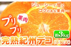 【先行予約】果肉プリプリ 完熟 紀州デコ( 不知火 ) 約3kg 果肉 デコ 株式会社魚鶴《2月下旬-3月中旬頃発送》紀州デコ 和歌山県 日高町 贈り物 ギフト 不知火 デコポン でこぽん 柑橘