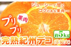 【先行予約】果肉プリプリ 完熟 紀州 デコ ( 不知火 ) 約 5kg 果肉 デコ 株式会社魚鶴《2月下旬-3月中旬頃発送》紀州デコ 和歌山県 日高町 贈り物 ギフト 不知火 しらぬい でこぽん デコポン 柑橘