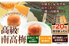 高級南高梅 はちみつ 昆布旨味 邑咲 個包装 各10粒 計20粒 網代模様仕上 紀州塗 箱入り 澤株式会社《30日以内に出荷予定(土日祝除く)》和歌山県 日高町 梅干し はちみつ 紀州南高梅