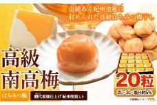 高級南高梅 はちみつ 個包装 計20粒 網代模様仕上 紀州塗 箱入り 澤株式会社《30日以内に出荷予定(土日祝除く)》和歌山県 日高町 梅干し はちみつ 紀州南高梅