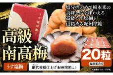 高級南高梅 うす塩 個包装 計20粒 網代模様仕上 紀州塗 箱入り 澤株式会社《30日以内に出荷予定(土日祝除く)》和歌山県 日高町 梅干し はちみつ 紀州南高梅