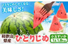 【先行予約】紀州和歌山産 小玉スイカ 「ひとりじめ」 1玉 魚鶴商店《2026年6月上旬-7月上旬頃出荷》 和歌山県 日高町 スイカ スイーツ フルーツ 果物 くだもの すいか 