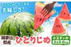 【先行予約】紀州和歌山産 小玉 スイカ 「ひとりじめ」 2玉 魚鶴商店《2026年6月上旬-7月上旬頃出荷》 和歌山県 日高町 スイカ スイーツ フルーツ 果物 くだもの すいか