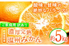 【先行予約】みかん【ご家庭用訳アリ】 紀州有田産 濃厚完熟温州みかん 約5kg 魚鶴商店《2025年11月下旬-2026年2月上旬頃出荷予定》 和歌山県 日高町 みかん 温州みかん 完熟 濃厚 柑橘 ご家庭用