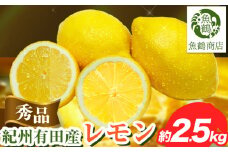 【先行予約】【秀品】紀州 有田産 レモン 約 2.5kg 魚鶴商店《3月上旬-3月中旬頃出荷》和歌山県 日高町 柑橘 レモン れもん lemon remon 果物 有田 はちみつレモン