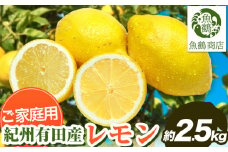 【先行予約】【ご家庭用訳あり】紀州 有田産 レモン 約2.5kg 魚鶴商店《3月上旬-3月中旬頃出荷》和歌山県 日高町 柑橘 レモン れもん フルーツ 檸檬