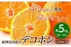 【先行予約】【お味濃厚】紀州有田産の デコポン 約 5kg (18玉～24玉入り・青秀以上) 厳選館 《2026年2月中旬-3月下旬出荷》和歌山県 日高町 送料無料 柑橘 柑橘類 でこぽん デコポン デコ 不知火 しらぬい